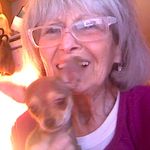 Lynn Levine - @lynnlevine687 - Instagram