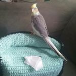 Lynn Levine Clark - @lynnc1219 - Instagram