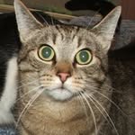 Lynn Lichtenberger - @lynn.lichtenberger.3 - Instagram
