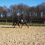Lynn Lichteveld - @lynnlichteveld - Instagram