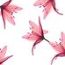 Lynn Lilienthal - Facebook