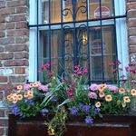 Mary Lynn Loeffler - @loefflerml1947 - Instagram