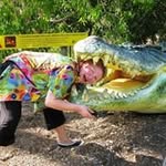 Lynn Lofthouse - @tallyho08 - Instagram