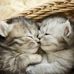 Lynn Lofthouse - Facebook