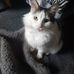 Lynne Lofthouse - Facebook