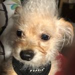 Lynn Lomax - @lynnlomax6 - Instagram