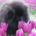 Lynn Lott - Facebook