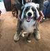 Lynn Lundquist - Facebook