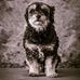 Lynn Lundquist Spidell - Facebook