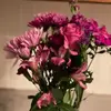 lynnlindquist - @lynnlindquist - TikTok