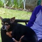 Lynn Carol Lytle - @lynn.lytle.39 - Instagram