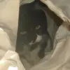 Lynn Macdonald - @lynn.macdonald7 - TikTok