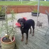 Lynn Macdonald - @lynn.macdonald58 - TikTok