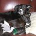 Lynn Macklin - Facebook
