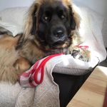 Lynne Macklin Hornsea - @lynne50macklin - Instagram