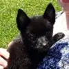 Lynn MacLeod - @lynn.macleod4 - TikTok