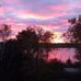 Lynn MacMillan - Facebook