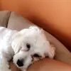 lynnmacon - @lynnmacon - TikTok