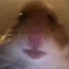 Malek - @maleklynn - TikTok