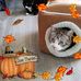 Lynn Mancini - Facebook