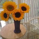 Lynne Mancini - @lynnemancini - Instagram