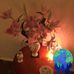 Lynn Manley - Facebook