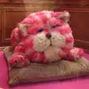 Lynnbagpuss66 - @lynn_manley - TikTok
