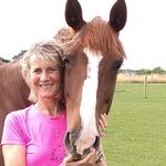 Lynn Mann - @thehorsesknow - Instagram