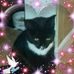 Lynn Mann - Facebook