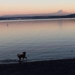 Lynn Margaret - @bluewaterlily01 - Instagram
