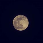 Lynn Markwell - @lynnmarkwell - Instagram