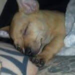 Angela Lynn Marriott - @godessjewla - Instagram