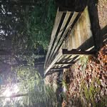 Lynn Maser - @clearchee2025 - Instagram