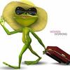Lynn Massey - @froggiesc - TikTok