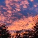 Lynn Mast - @lynnmast6 - Instagram
