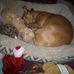 Lynn Mauldin - Facebook