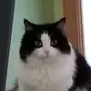 Lynn Mayes - @lynn.mayes4 - TikTok