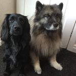 Lynn mayes - @obekees - Instagram