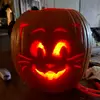lynnevamayes07 - @lynnevamayes07 - TikTok
