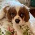 Lyn Mazza - Facebook