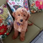 Lynn Greenberg-Mazzarese - @lynngreenbergmazzarese - Instagram