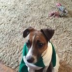 Lynn McAteer - @lynnmcateer - Instagram