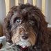 Lynn McAteer - Facebook