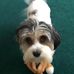 Lynn McAvoy - Facebook