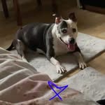 Lynn McCallum - @lynn.mccallum.39 - Instagram