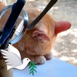 Lynn McCartney Cunningham - @lmc211945 - Instagram