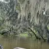flynnmcclanahan - @flynn.mcclanahan - TikTok