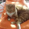 Lynn Mccormick - @lynn.mccormick5 - TikTok