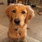 Lynn McDermott - Facebook