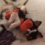 Kari-Lynn McFadden - @karilynn_4 - Instagram
